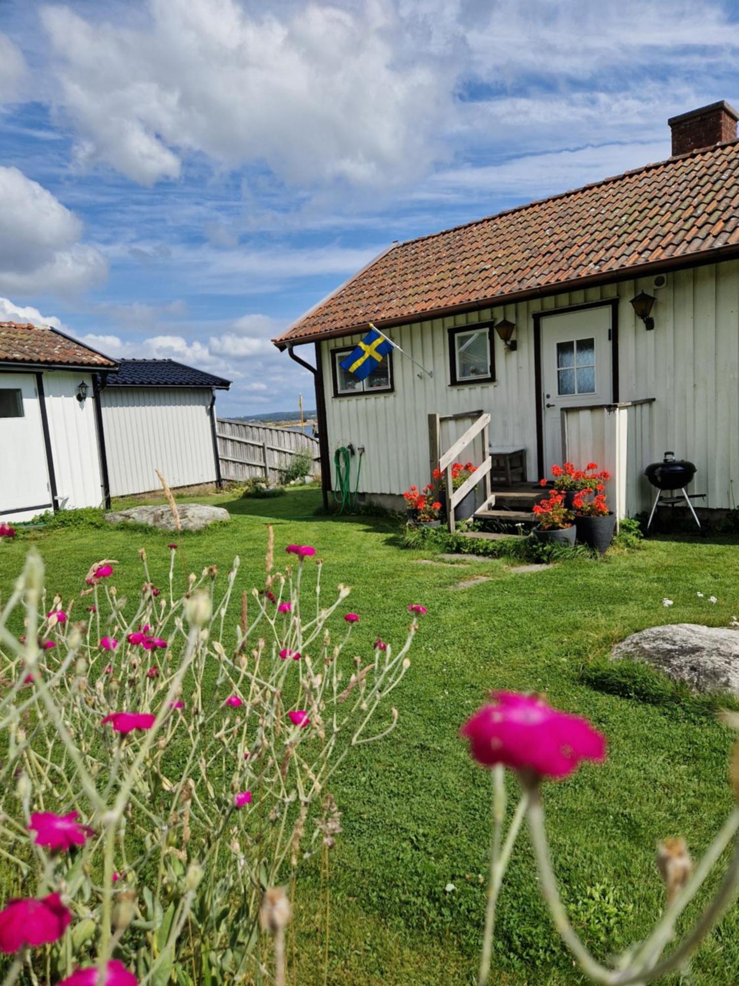 Cabin At The Sea Close To Public Beach With A Jumpingtower Hoviksnas Kültér fotó